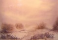 /album/galerie-de-photos-aquarelles/plateau-vosgien-sous-la-neige-jpg/